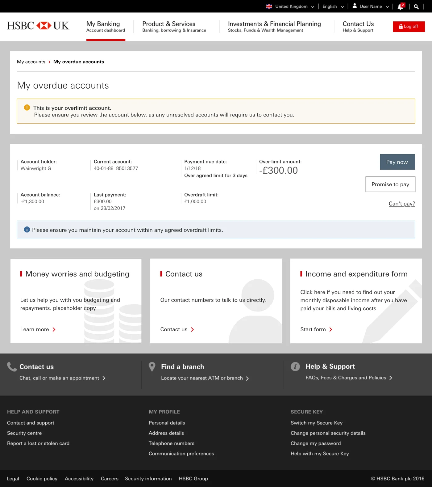 Single overdue account detail view showing account holder, balance, and payment details, with Pay now as the primary action, Promise to pay as a secondary action, and Can't pay as a text link